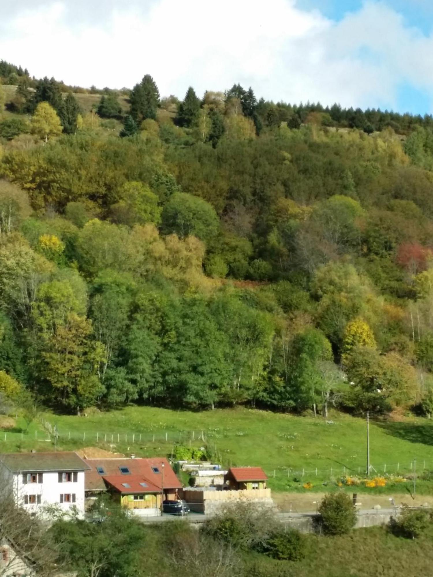 Bed and Breakfast Les Lupins Geishouse Zewnętrze zdjęcie